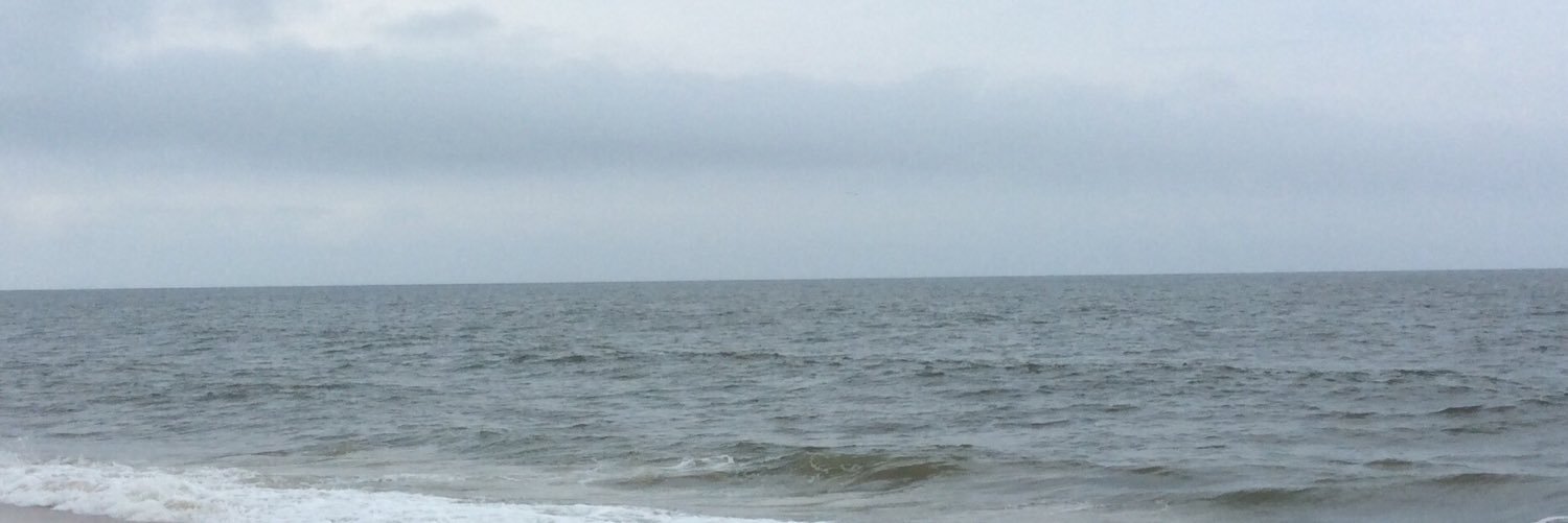 SamuraiSews's profile banner image