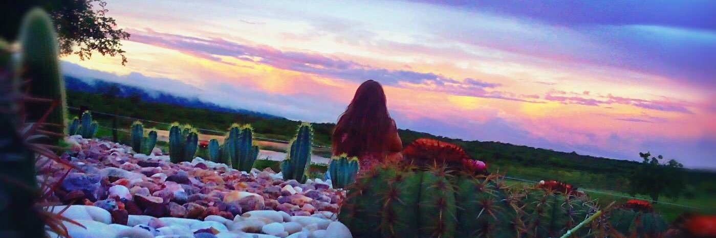 Neísa Maria🇧🇷 banner
