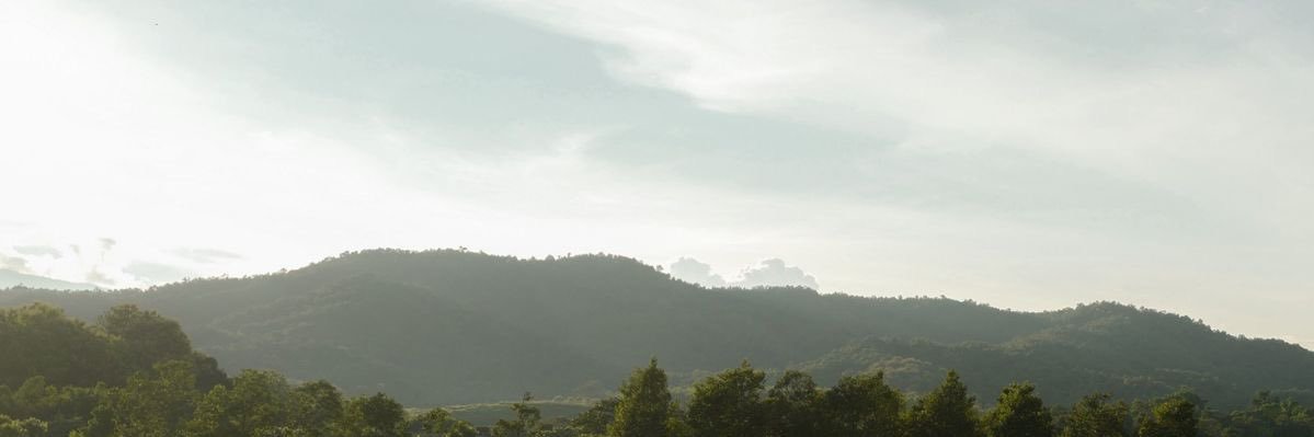 letkimgo's profile banner image