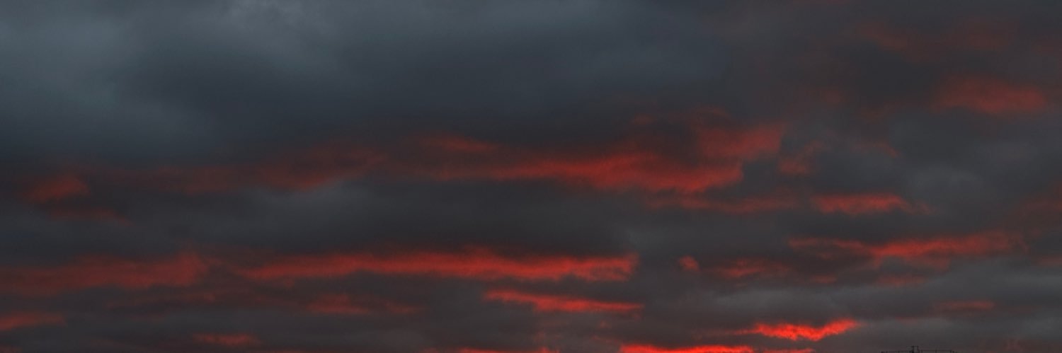 bamboofrog78's profile banner image