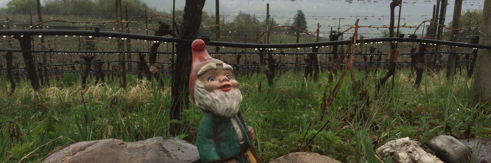 Jesse Becker MS banner