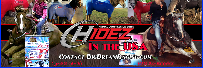 TeamHidezUSA's profile banner image