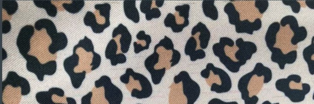 avanessamo's profile banner image