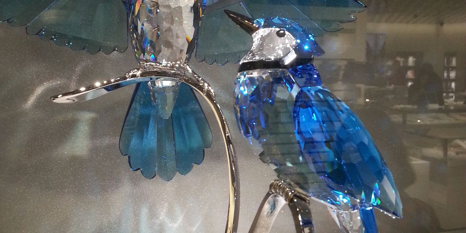 Okke Koedooder banner