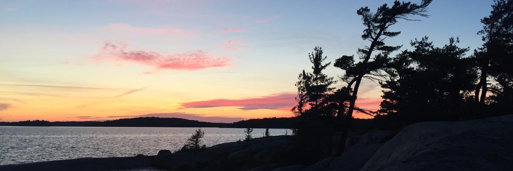 Danielle Hudson banner