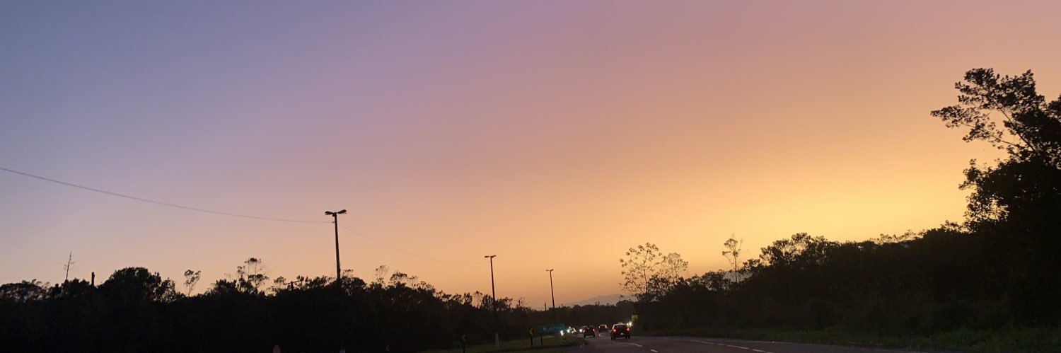 laratonetti's profile banner image
