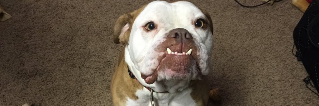 breeedix's profile banner image