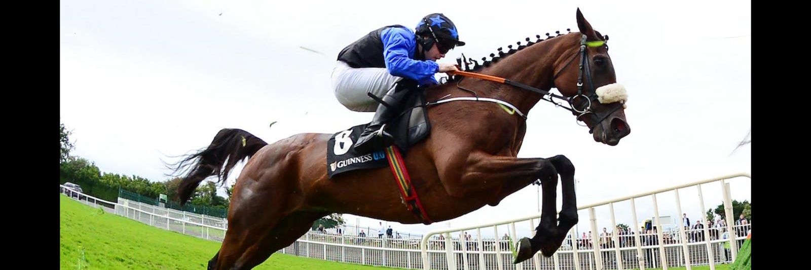 Tommy Teehan banner