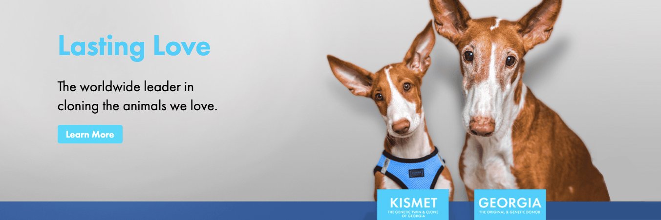 ViaGen Pets & Equine banner