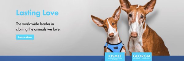 ViaGenPets_ Profile Banner