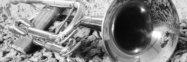 Ch_Liebich's profile banner image