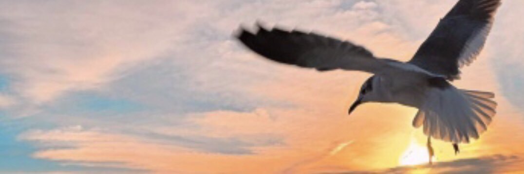 j2doublej's profile banner image