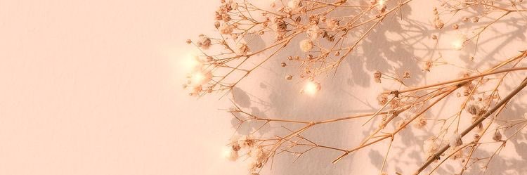Saa_Rahim's profile banner image