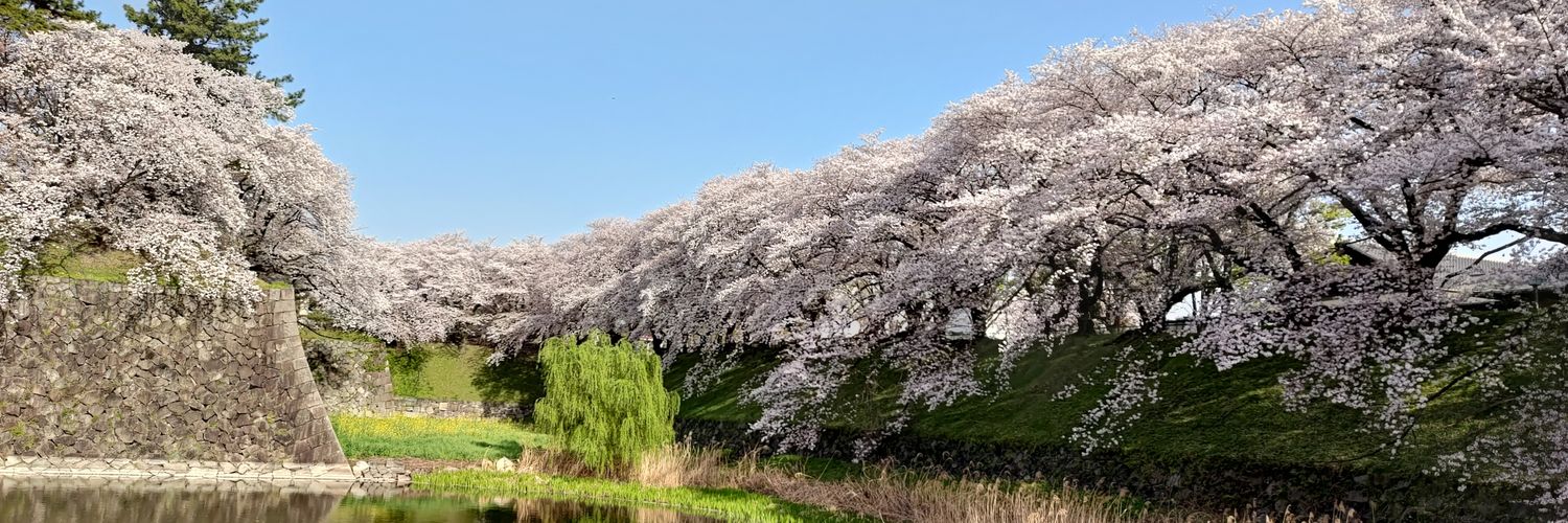 かずのこ's banner