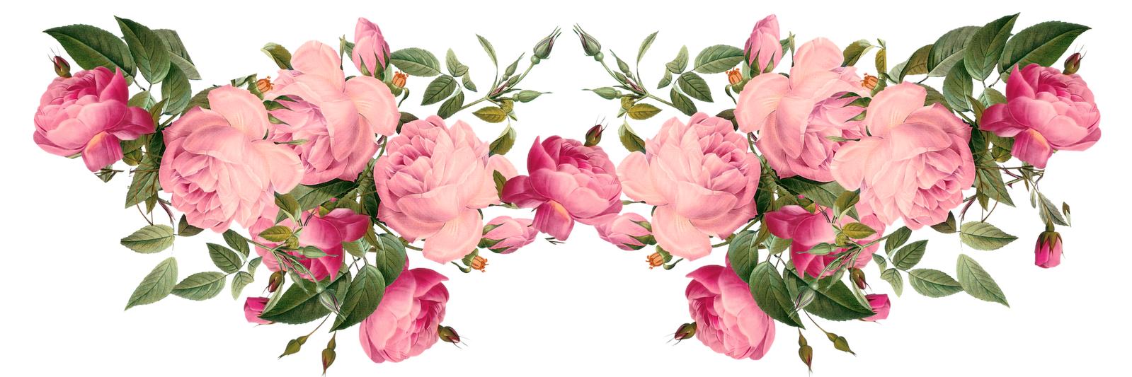 xmonstercorex's profile banner image