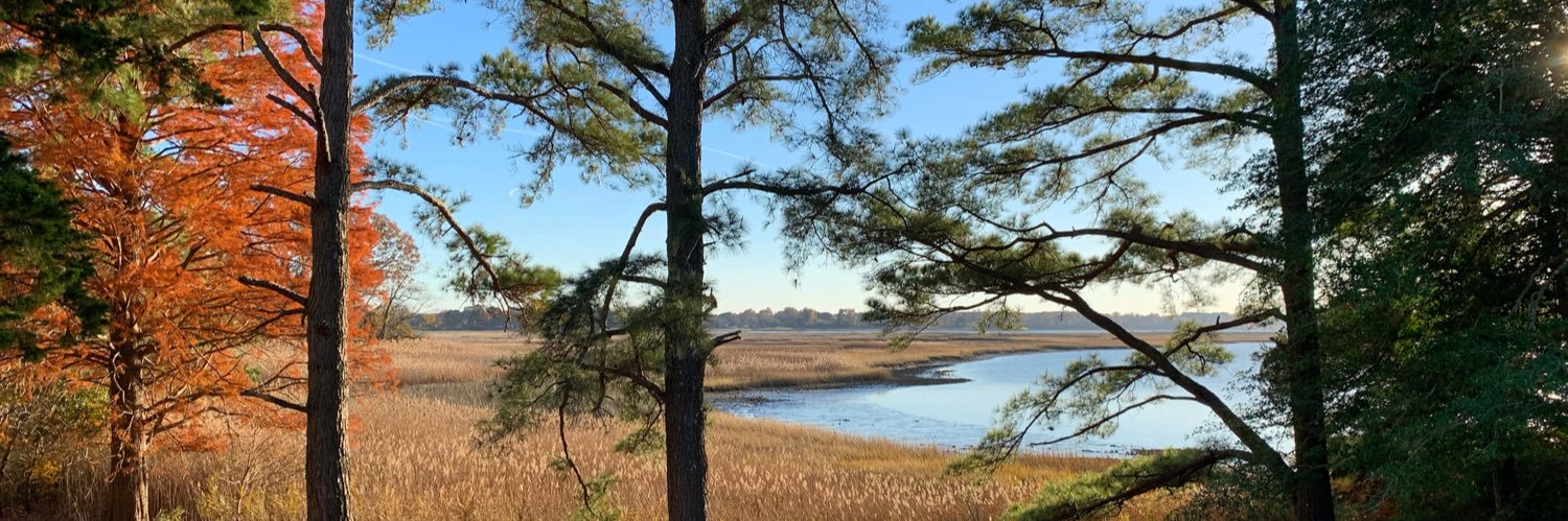 Katherine Hafner 🎙️🎃 banner