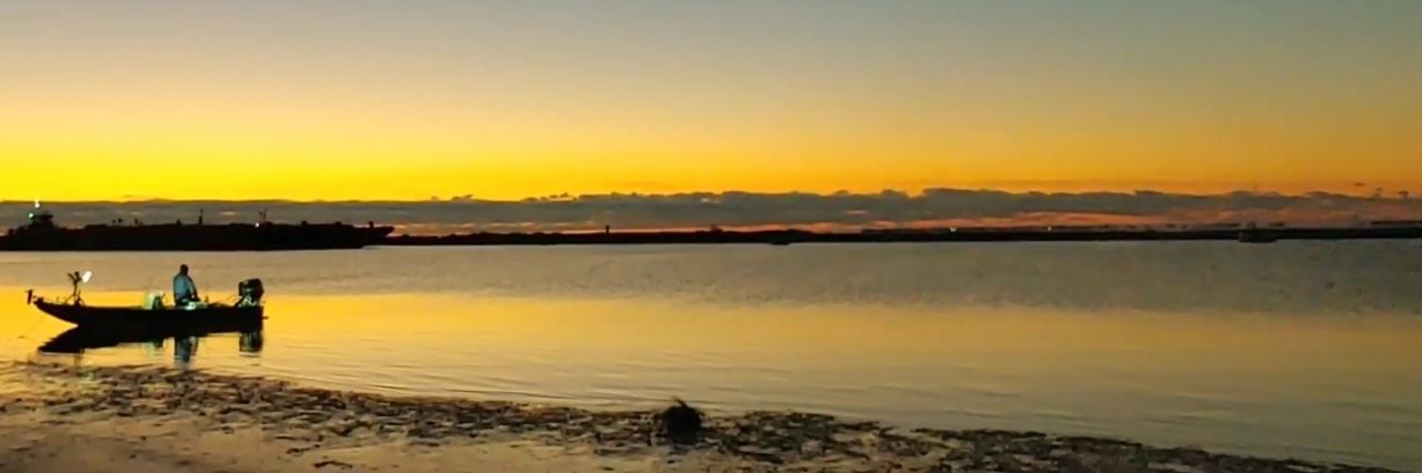 Heavy Stringers banner