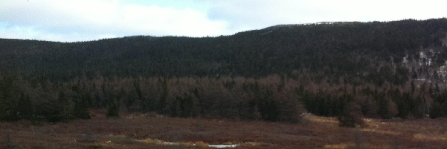 Jason🇨🇦 banner