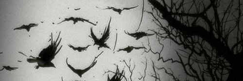 ImDovot's profile banner image