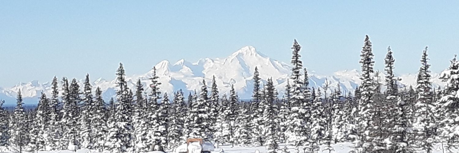 OffgridMom's profile banner image