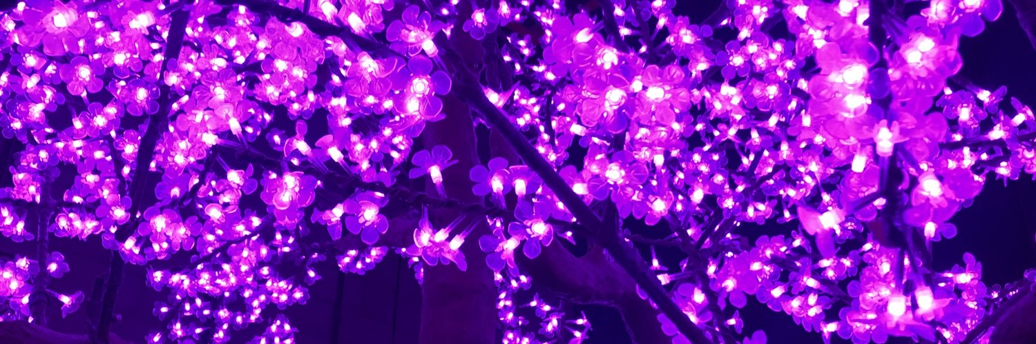 KaylaMNG's profile banner image