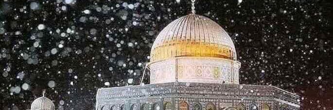 samer_abdullah's profile banner image