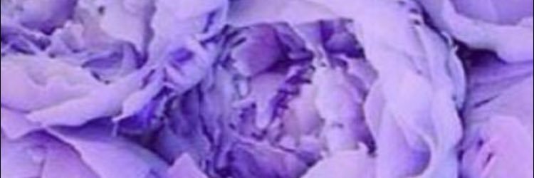 JessiDP57's profile banner image