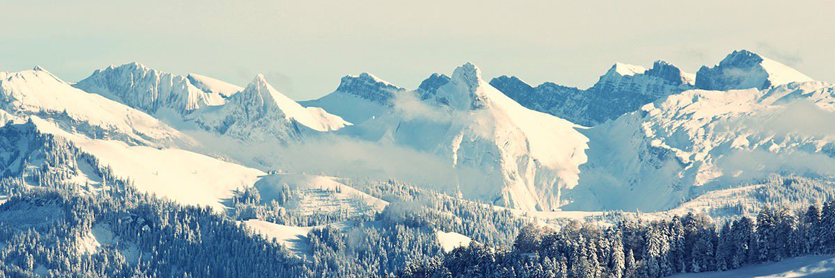 COMM365_Chloe's profile banner image