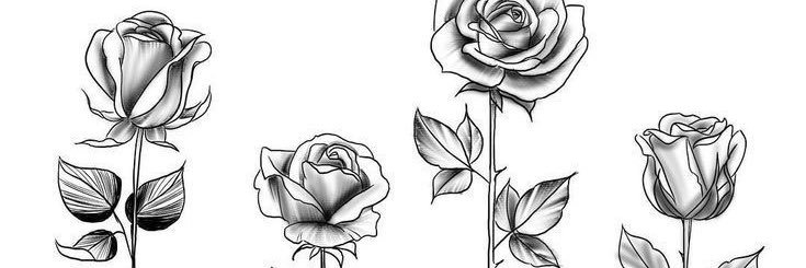 tglomb's profile banner image