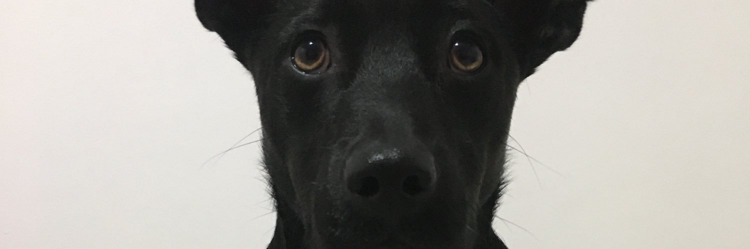 GuadaJimenezM's profile banner image