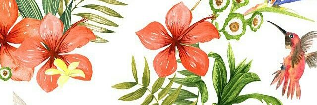 Agustina banner