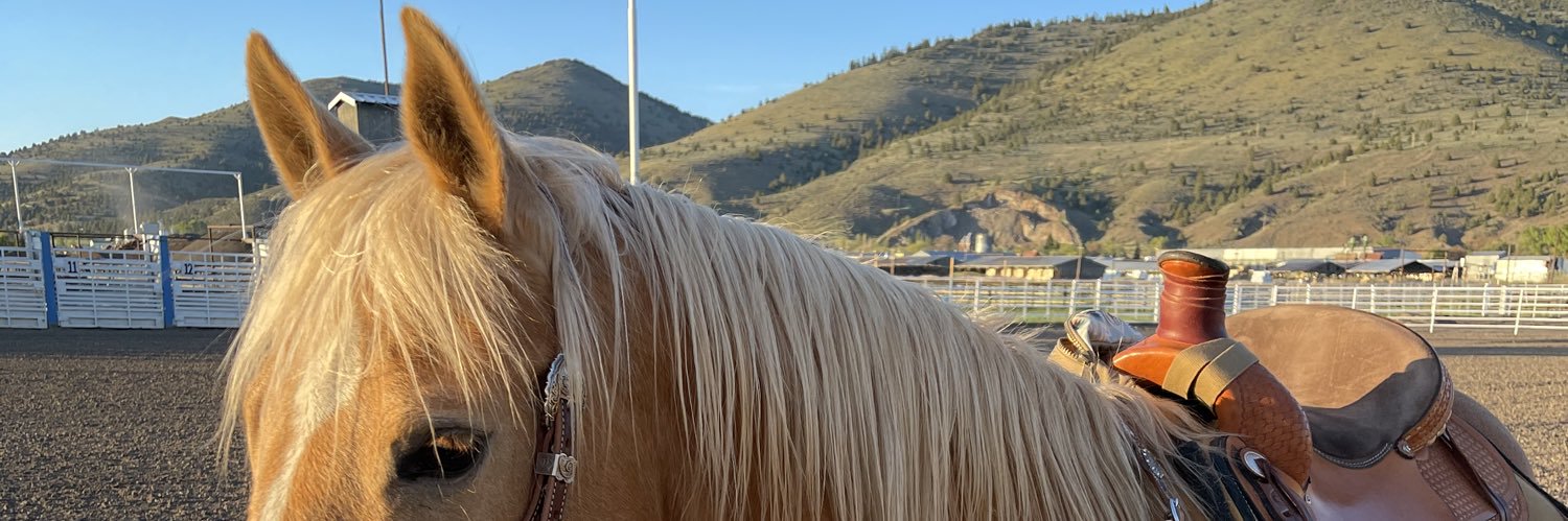 ksmculy's profile banner image
