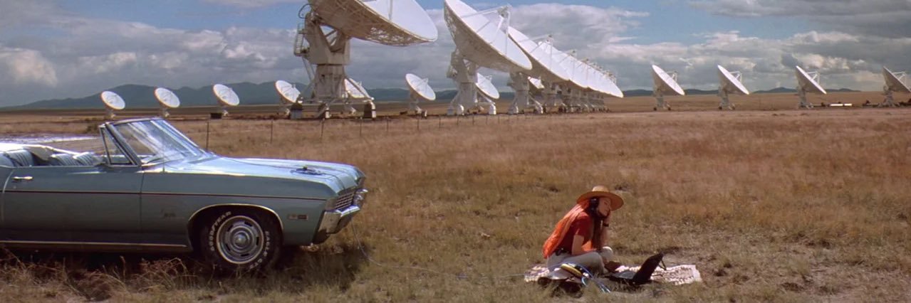 claira curtis banner