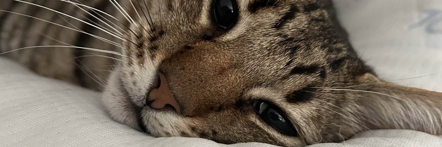 Dee ᓚᘏᗢ banner