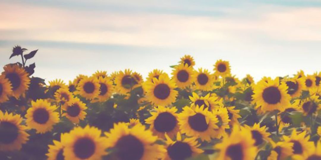 EassyA's profile banner image