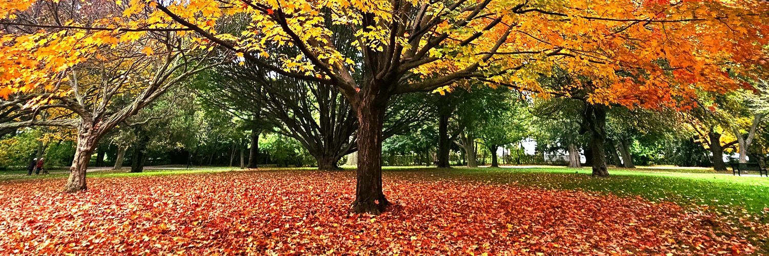 Gitendra 🇮🇳🍁☮️✌️ banner