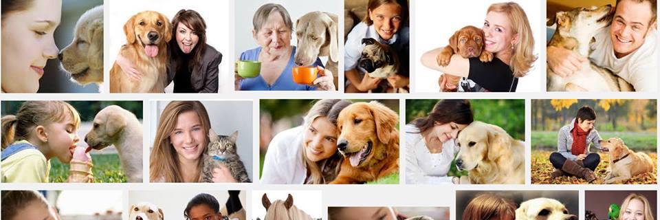 GiftPaws's profile banner image