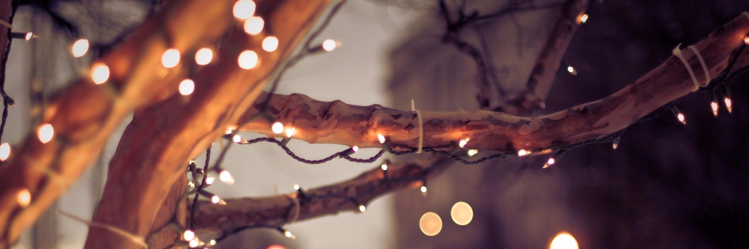 Ms_Caselman's profile banner image