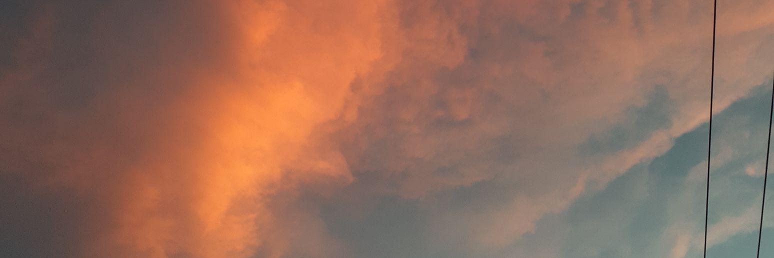 Dania banner