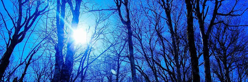 Angelpriya88's profile banner image
