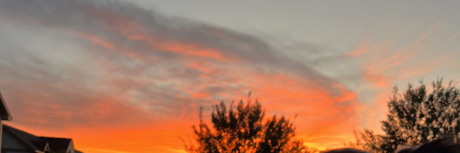 catparreno's profile banner image