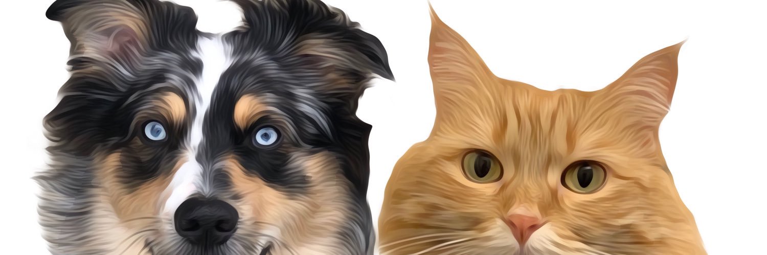 Lo_Mac2015's profile banner image