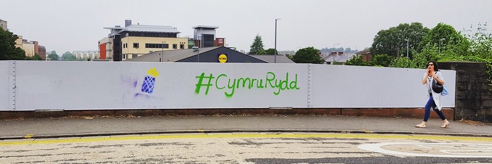 Plaid Ifanc Society Cardiff University. banner