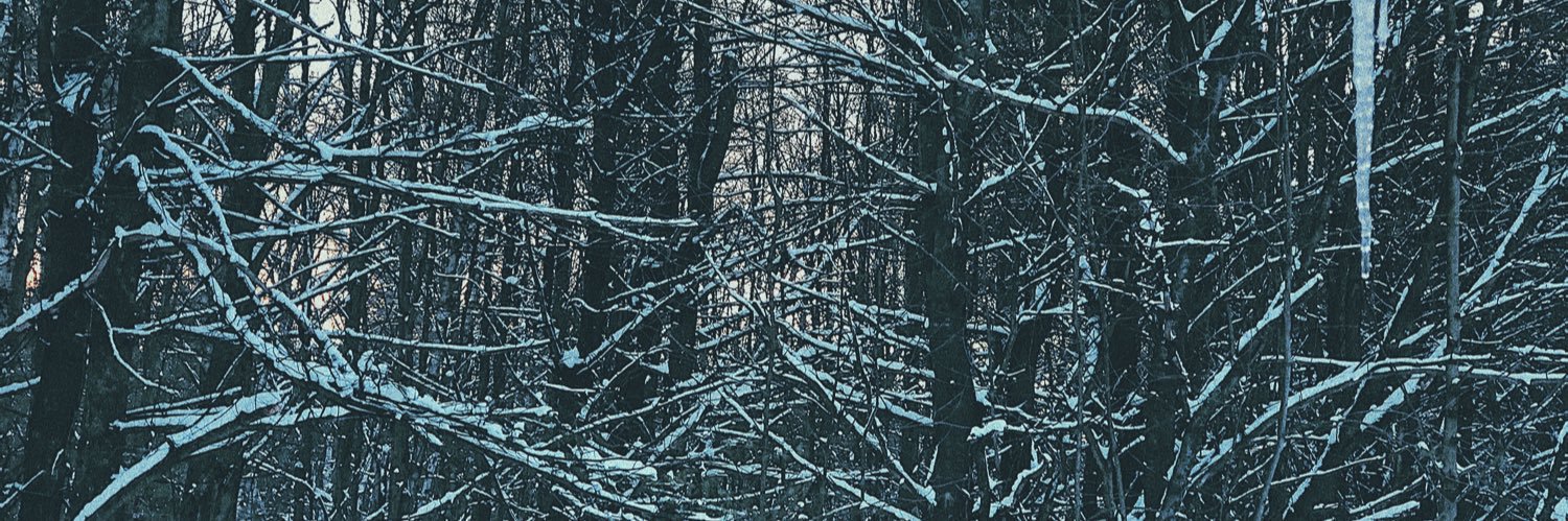 wxven_'s profile banner image