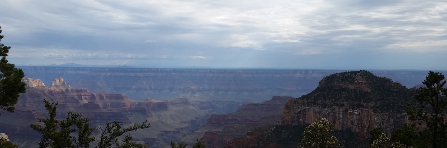 MandyGreen_'s profile banner image