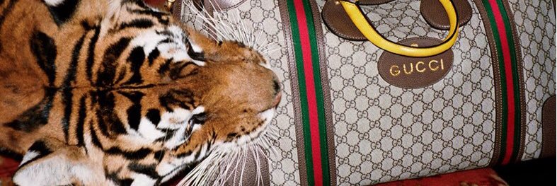 TheTigerFord's profile banner image