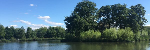 CloseWindmillDr Profile Banner