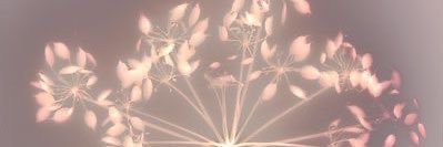 CHLOVII's profile banner image