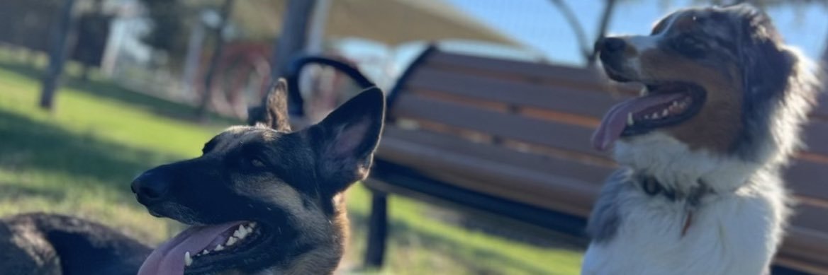 ashley_c99's profile banner image
