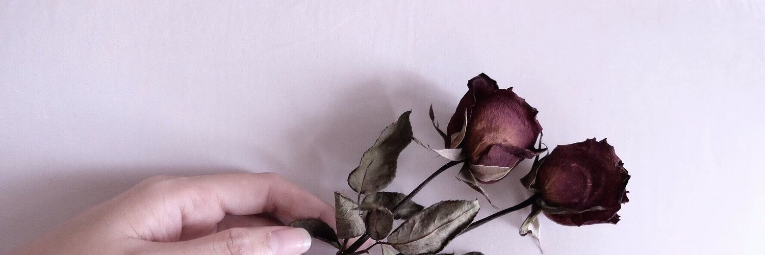 FebbriiannaLy's profile banner image